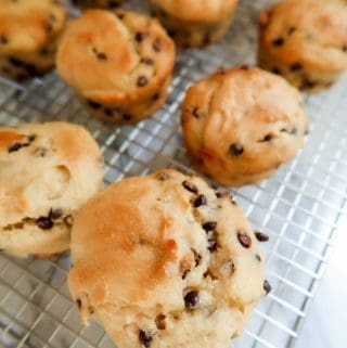 Gluten Free Chocolate Chip Muffins