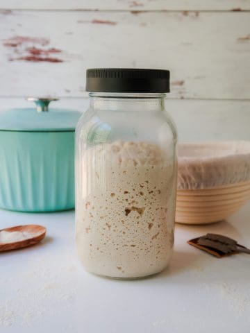 Sourdough Starter Vs. Discard