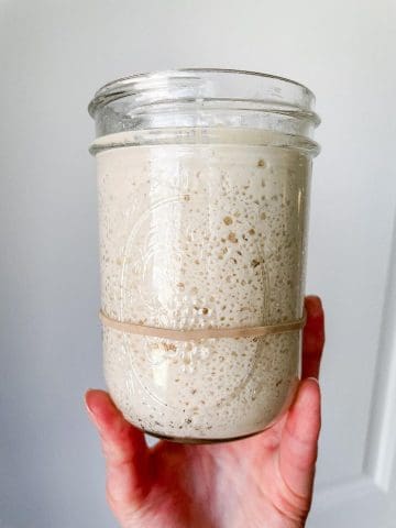 Cultures for Health Gluten Free Sourdough Starter. How to Make a Gluten Free Sourdough Starter Wonders of Cooking